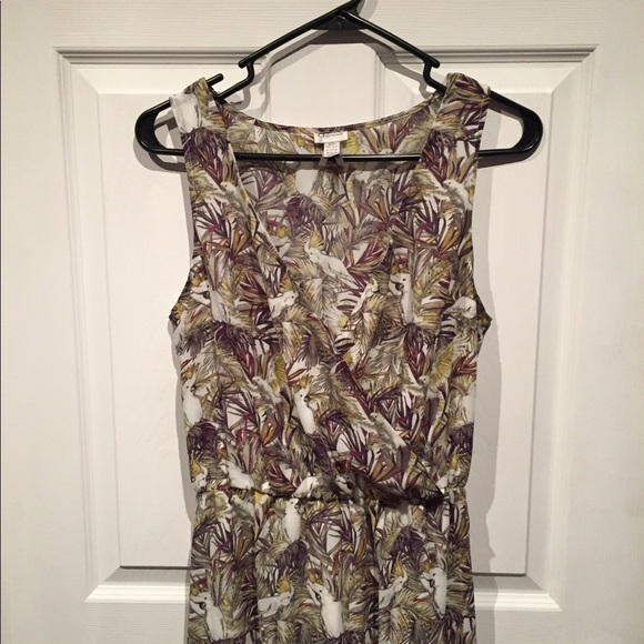 Bird Dress - Picture 2 of 3